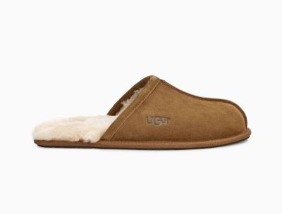 UGG Scuff Mens Slippers Chestnut/ Brown - AU 576SE